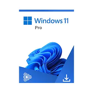Microsoft Windows 11 Pro 